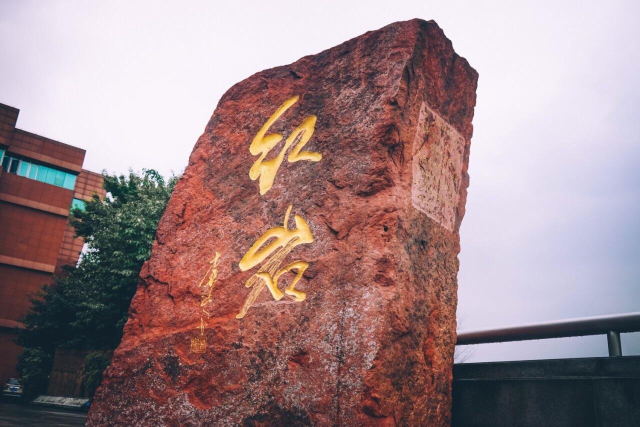 求红岩刘思杨人物分析400字