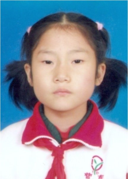 刘汉格的搜索调查