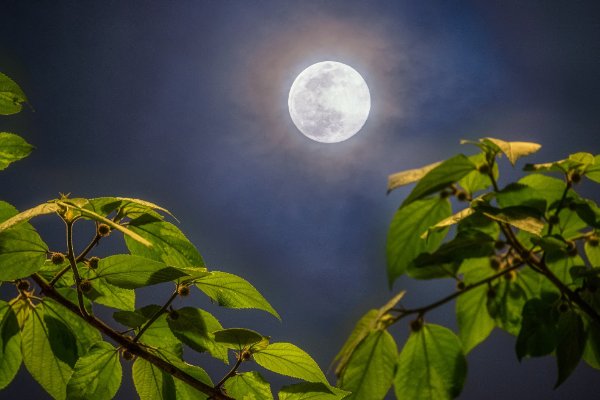 不同地方看同一个月亮的句子