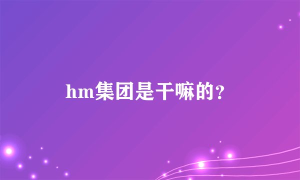 hm集团是干嘛的？