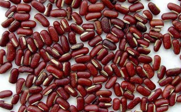 红豆与赤小豆有什么区别?各有什么功效?