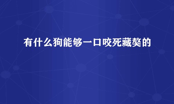 有什么狗能够一口咬死藏獒的