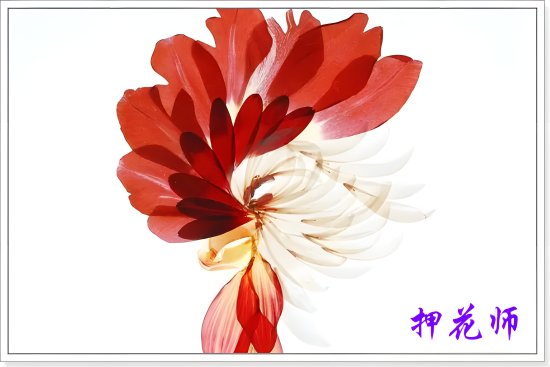 押花师工作内容