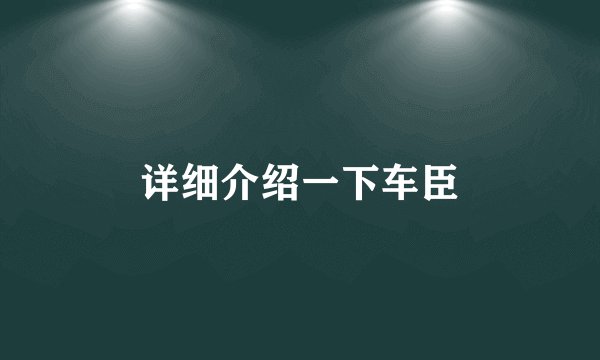 详细介绍一下车臣