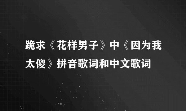 跪求《花样男子》中《因为我太傻》拼音歌词和中文歌词