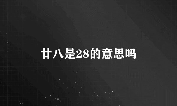 廿八是28的意思吗