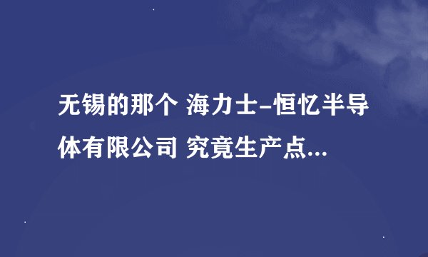无锡的那个 海力士-恒忆半导体有限公司 究竟生产点什么东西?为何老是语焉不详?