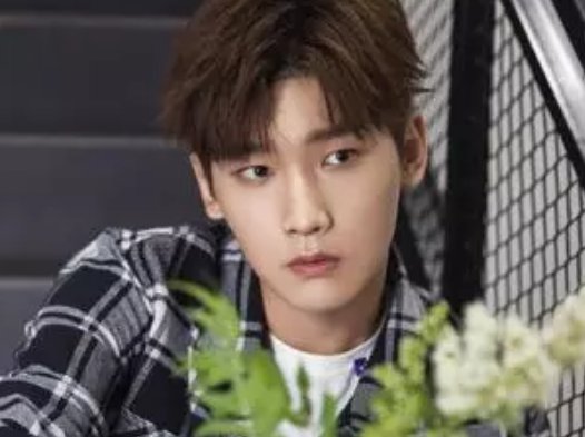 邢昭林连夜买李宁,为何被说求生欲满满?