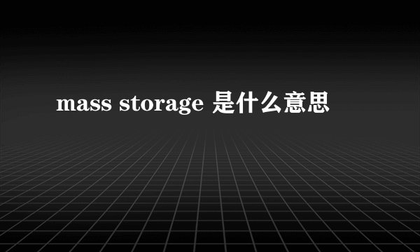 mass storage 是什么意思