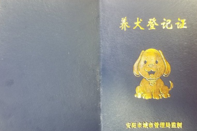 新华社五问“狗咬人”事件迎结局,该事件中哪些信息值得关注?