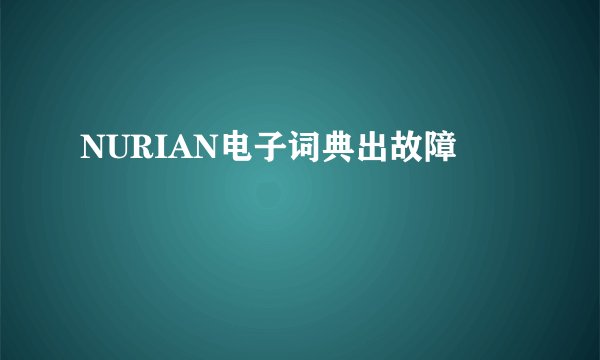 NURIAN电子词典出故障