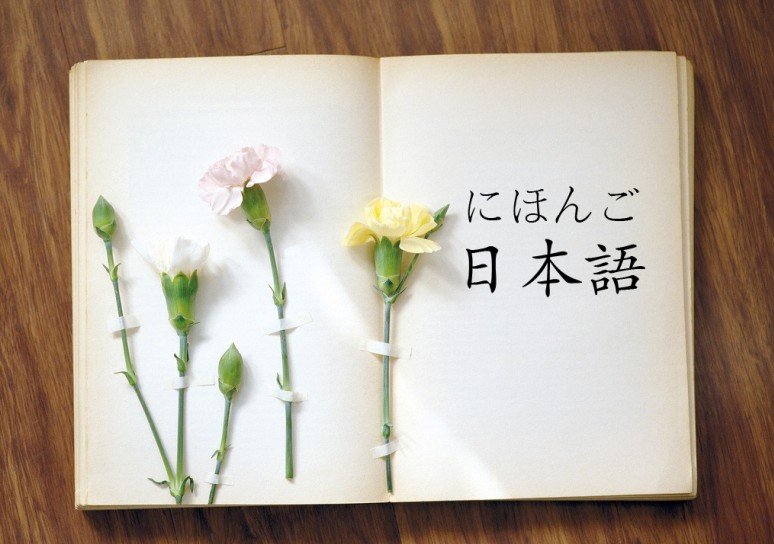 日文：亚麻跌 中文到底什么意思？