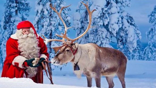 圣诞老人的鹿是什么鹿