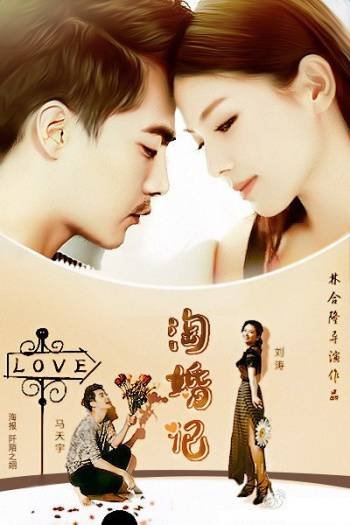 淘婚记的剧情简介