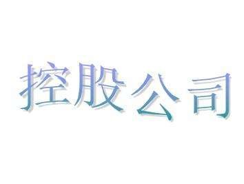 什么是控股公司