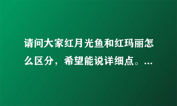 请问大家红月光鱼和红玛丽怎么区分，希望能说详细点。谢谢大家了