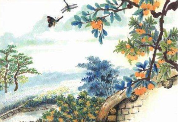 梅子金黄杏子肥，麦花雪白菜花稀。日长篱落无人过，惟有蜻蜓蛱蝶飞。