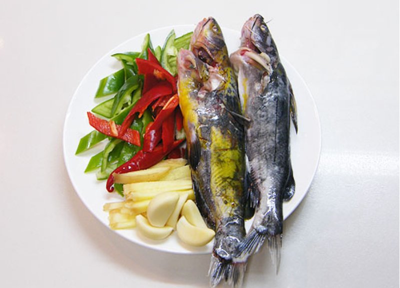 养殖黄骨鱼赚钱吗