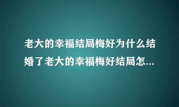 老大的幸福结局梅好为什么结婚了老大的幸福梅好结局怎么样梅好和老大到一起了吗