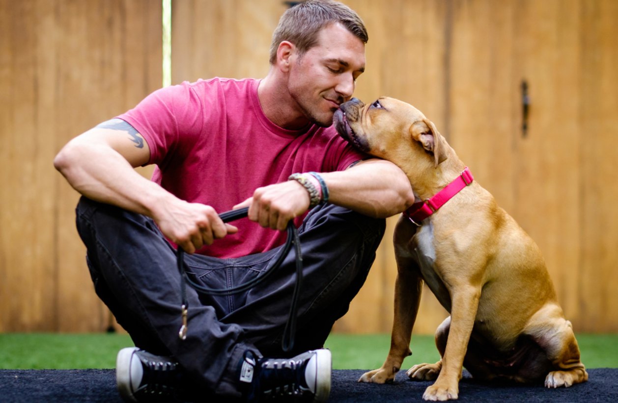 lucky dog 什么意思