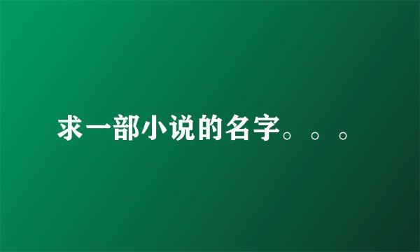 求一部小说的名字。。。