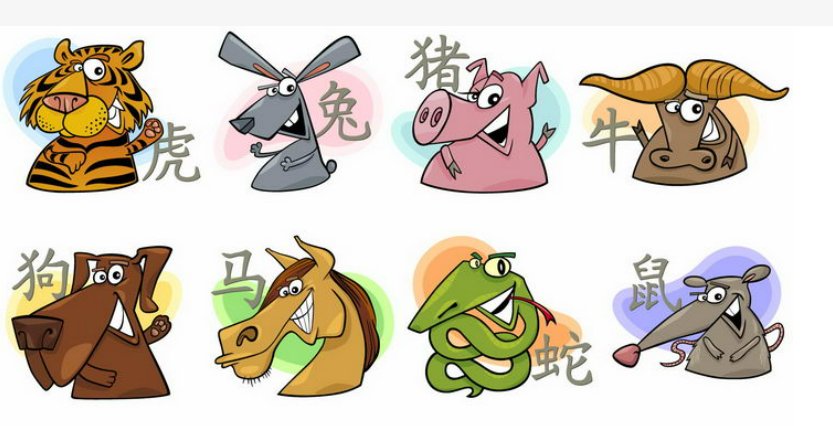 红口白牙指的是什么生肖？