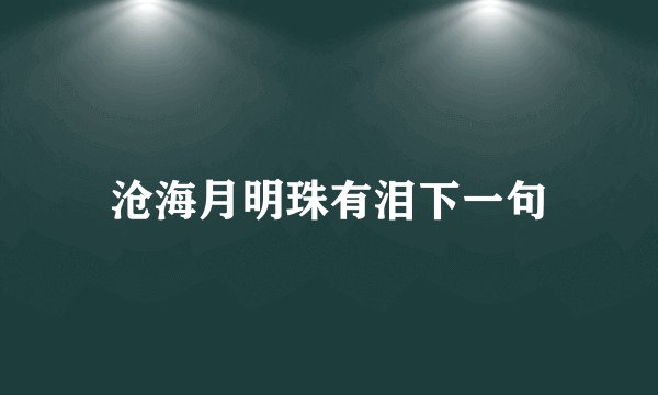 沧海月明珠有泪下一句