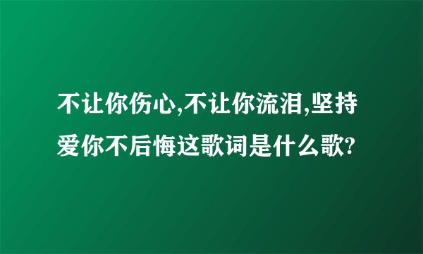 不让你伤心,不让你流泪,坚持爱你不后悔这歌词是什么歌?