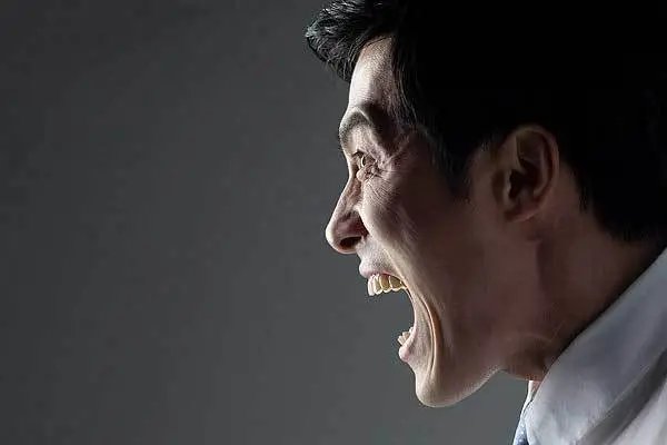 有什么骂人的成语？