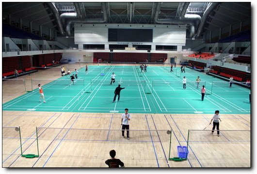 光谷体育馆的介绍