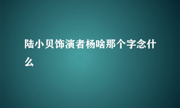 陆小贝饰演者杨啥那个字念什么