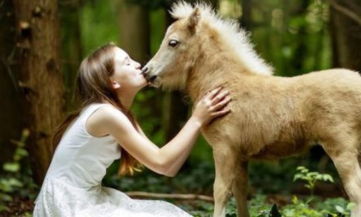 动物与人类生活的关系