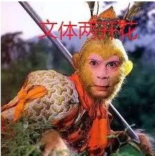 两开花是什么意思？