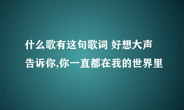 什么歌有这句歌词 好想大声告诉你,你一直都在我的世界里