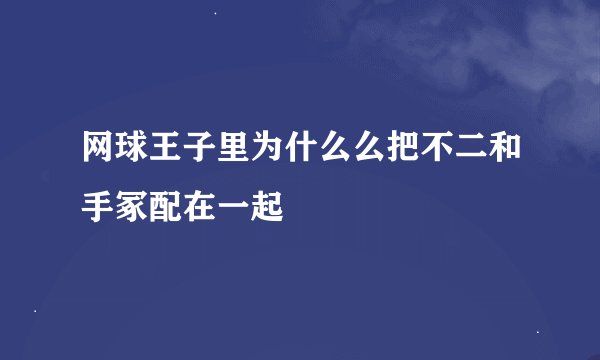网球王子里为什么么把不二和手冢配在一起