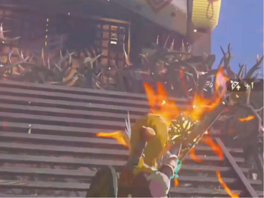 拉贝拉湿地带鸟望台怎么进去?