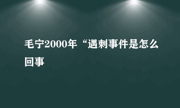 毛宁2000年“遇刺事件是怎么回事