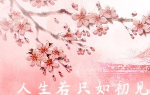 如初见人生若只如初见的句子