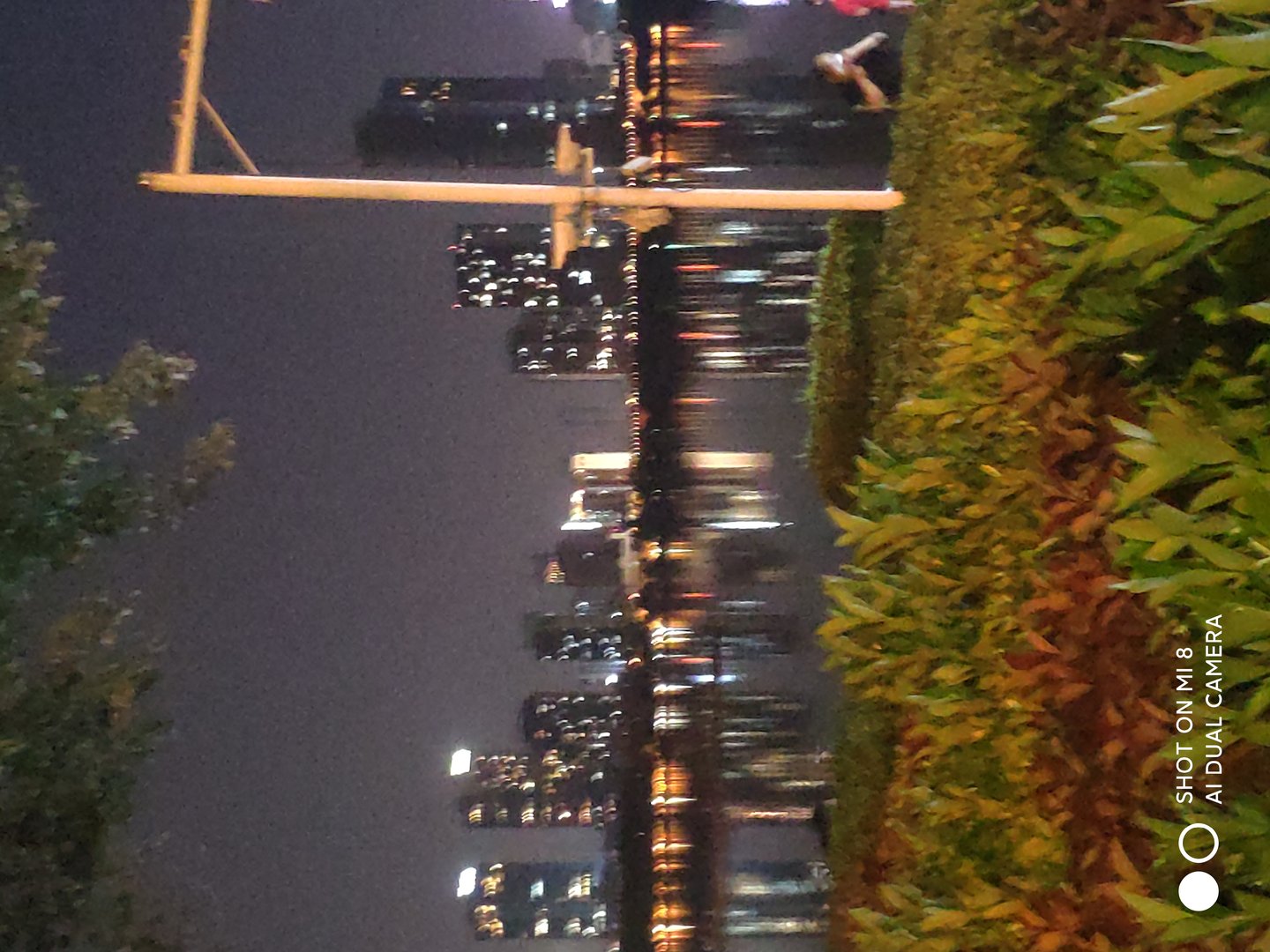 老有所为是怎么回事呀？！