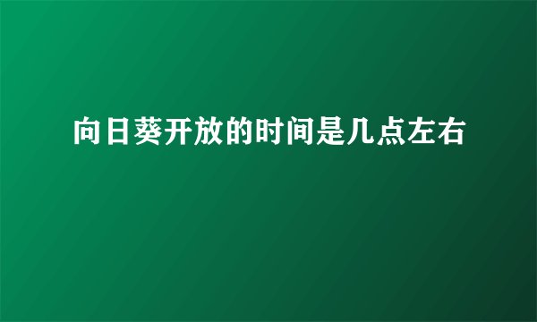向日葵开放的时间是几点左右