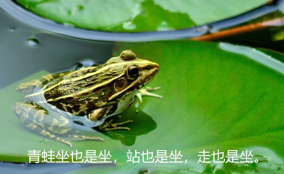 坐也是坐，站也是坐，走也是坐,猜一动物？