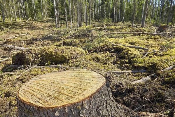 工业革命后气候变化的主要原因