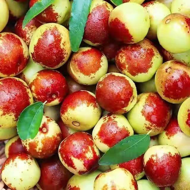 泡枣是什么意思？