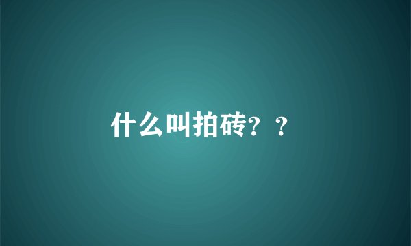 什么叫拍砖？？