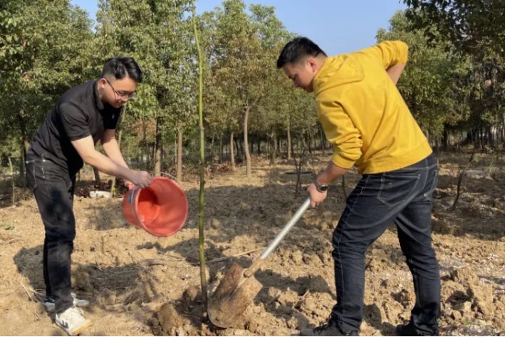 清明植树的深远意义