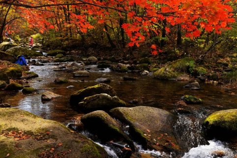 本溪有什么好玩的地方景点