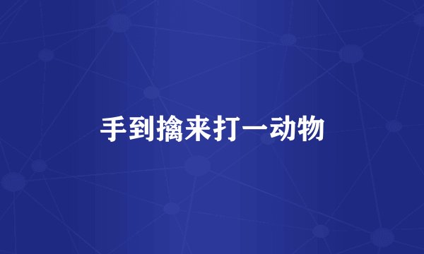 手到擒来打一动物