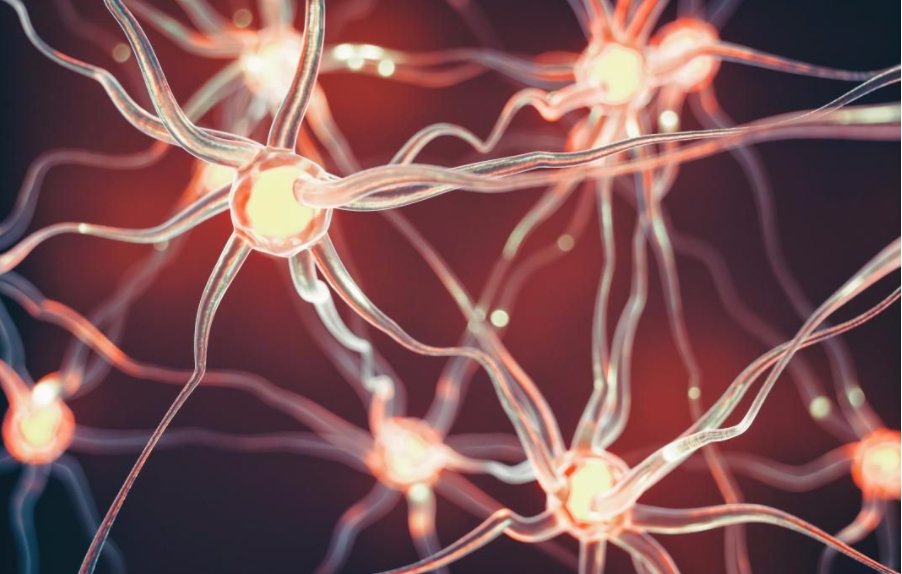 “神经兮兮”是什么意思?