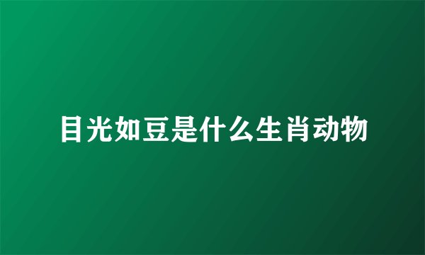 目光如豆是什么生肖动物