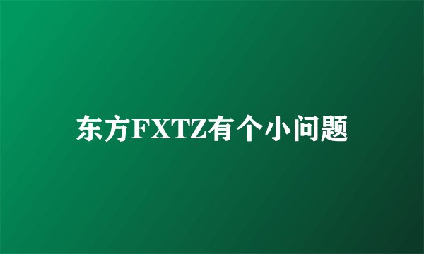东方FXTZ有个小问题